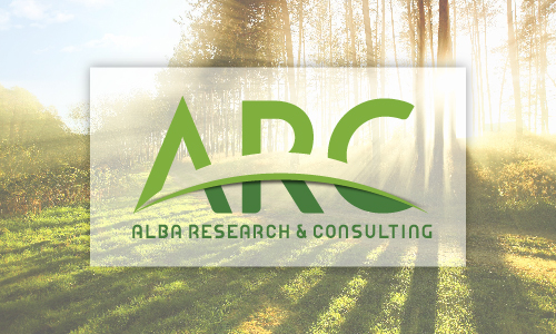 Diseño de Identidad – Alba Research & Consulting